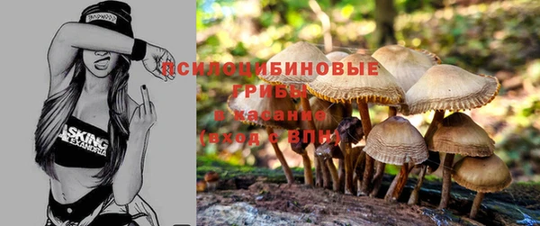 гашиш Арсеньев