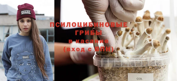 бутират Аркадак
