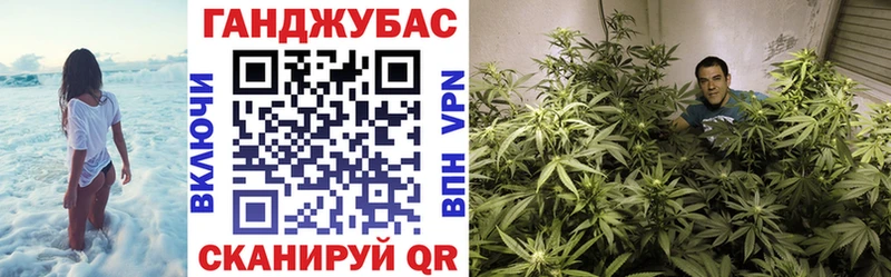Шишки марихуана планчик  сколько стоит  Лабытнанги 